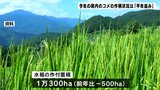 主食用収穫量は4万6300トン 2023年コメの作柄状況は“平年並み”【高知】|TBS NEWS DIG