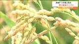 「つや姫」最高峰の"特A"に返り咲き コメの食味ランキング 宮城 | 宮城のニュース│tbc NEWS│tbc東北放送