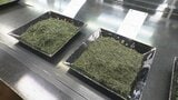 最高値は「118万円」静岡茶市場で新茶の初取引 2026年から電子入札を初導入 狙いは「市場の活性化」|TBS NEWS DIG