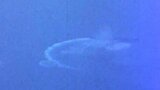 「戦艦大和」のカラー映像を初公開 豊の国宇佐市塾「沈没2時間前の映像」も 大分 | 大分のニュース|OBS NEWS|大分放送