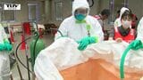迅速な対応を 鳥インフルエンザや豚熱への対応学ぶ防疫演習 殺処分の手順など確認(山形) | 山形のニュース│TUYテレビユー山形