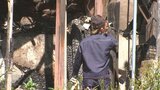 木造2階建て住宅1棟を全焼 1人暮らしの女性(66)は外出中 けが人なし 大分・日田市|TBS NEWS DIG