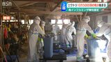 13日朝確定の鳥インフルエンザ 正午までに4800羽処分 新潟県上越市 | 新潟のニュース・天気|BSN NEWS|BSN新潟放送