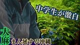 大麻に手を染める生徒は「沢山いる」隣の子に “見て見て” 中学生が激白 薬物がまん延する沖縄の現状|TBS NEWS DIG
