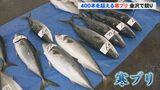 今季最高“400本超の寒ブリ”水揚げ 「急に冷え込んでまとまって入ってきた」金沢の市場で競り　|　石川県のニュース｜MRO北陸放送
