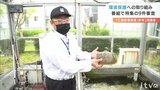 環境活動に取り組む個人や団体を表彰 三浦保環境賞の審査会 | 愛媛のニュース - Nスタえひめ|あいテレビは6チャンネル
