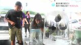 氷の柱の中に…ヨーヨー釣りのように…“ナスフェス” 高知・四万十市西土佐 | 高知のニュース・天気|KUTV NEWS | KUTVテレビ高知