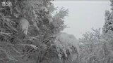 大雪の思わぬ影響「停電が長引いた場合 断水の恐れも」新潟・村上市 | 新潟のニュース・天気|BSN NEWS|BSN新潟放送