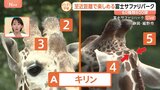 夏限定!“泳ぐゾウ”に“ナイトサファリ”も!富士サファリパーク~すたすた中継~【Nスタ】|TBS NEWS DIG