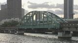 昭和の時代に活躍した東京の鉄道橋が今月19日から遊歩道に 鉄道橋としては日本で初めて採用されたローゼ橋形式 夜にはライトアップも|TBS NEWS DIG