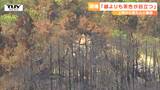山火事から約1か月・現場をヘリでリポート「森林の再生にはまだ時間がかかりそう」南陽市の山は燃え焦げて茶色の部分が目立つ（山形・南陽市）　|　山形のニュース│TUYテレビユー山形