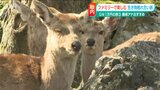ゴールデンウイークは家族で!予算1万円以内 生き物と“ふれ合う”胎内の旅 | 新潟のニュース・天気|BSN NEWS|BSN新潟放送