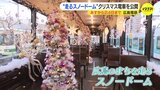 “まちを走るスノードーム” 広島電鉄のクリスマス電車を公開 クリスマス・イブはサンタ乗車|TBS NEWS DIG