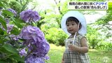 梅雨の晴れ間で各地夏日　色の涼しげなアジサイで涼む 　あすは季節外れの黄砂飛来か|TBS NEWS DIG