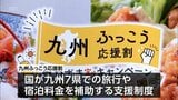 「九州ふっこう応援割」の宮崎県内分の宿泊予約 開始5分以内で販売終了に | MRTニュース | MRT宮崎放送