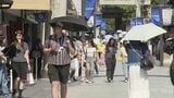太宰府市で37.8℃ 今年の国内最高気温に 福岡・佐賀にあすも熱中症警戒アラート発表|TBS NEWS DIG