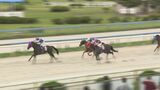 競馬ファン待望! 金沢競馬場再開|TBS NEWS DIG