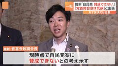 政治資金規正法の改正、4日に採決も…自民党の修正案に維新が一転「賛成は難しい」| TBS CROSS DIG with Bloomberg
