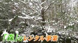 「森をまるごとレンタル」大阪から移住した “モリビト” 夫婦がめざす「みんなの秘密基地」【岡山】|TBS NEWS DIG