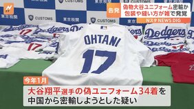 ドジャース・大谷翔平選手の偽ユニフォームを密輸入しようとしたか　東京税関が島根県の会社員の男を刑事告発　約300万円売り上げか|TBS NEWS DIG