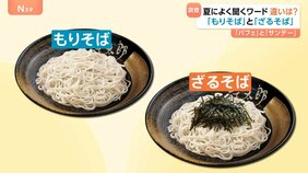 「もりそば」「ざるそば」の違いって？日焼け止めのSPFとPAの違いは？知っているようで知らない！夏に関するワード徹底調査！|TBS NEWS DIG