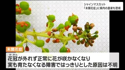 img_ce575adf6051d50c70210ce4dd