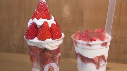 将棋名人戦のおやつ「いちごモンスター」 永瀬拓矢九段が4回注文「大分