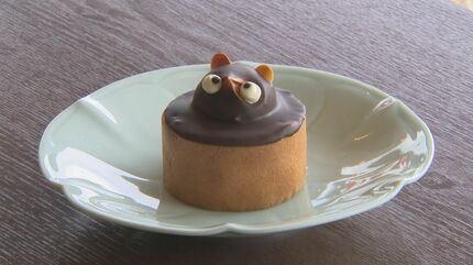 絶滅危惧種「たぬきケーキ」とは？ バタークリームにチョコ