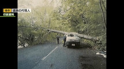 管理をきちんとやっていただければ事故は起きなかった」十和田市の倒木