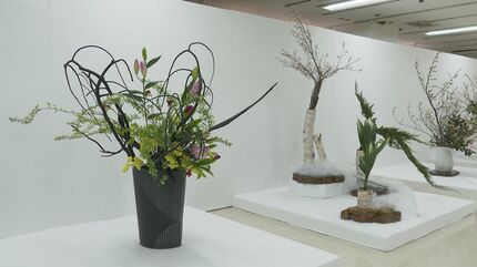 1日も早い能登の復興願い 春を装う県いけばな展 | 石川県のニュース