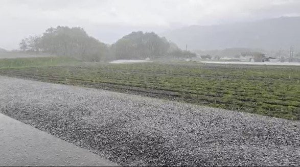 「畑がひょうで一面真っ白に…」長野県内で局地的に激しい雨…駅前も短時間に激しい雨が…上空に強い寒気流れ込み大気の状態が不安定…12日は雷雨で約48万戸が停電　|　SBC NEWS | 長野のニュース | SBC信越放送