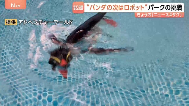 「ペンギンロボット」が新たな看板に？パンダがいなくなったアドベンチャーワールドが仕掛ける“意外”なもの|TBS NEWS DIG
