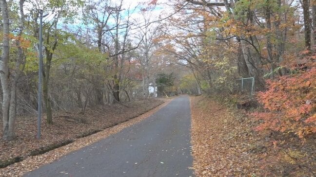 県の権利の濫用と判断　富士急行の申し立てを全面的に認める仮処分決定　県有地で運営する別荘事業の手続き　甲府地裁|TBS NEWS DIG