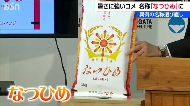 新潟県が開発した“暑さに強い”コメの極早生品種「新潟135号」の名称は『なつひめ』に|TBS NEWS DIG