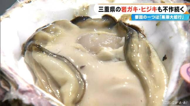 7年以上続いた｢黒潮大蛇行｣が終息する可能性　海水温の上昇で不作だった｢岩ガキ｣や｢ひじき｣への影響は　三重・鳥羽市|TBS NEWS DIG