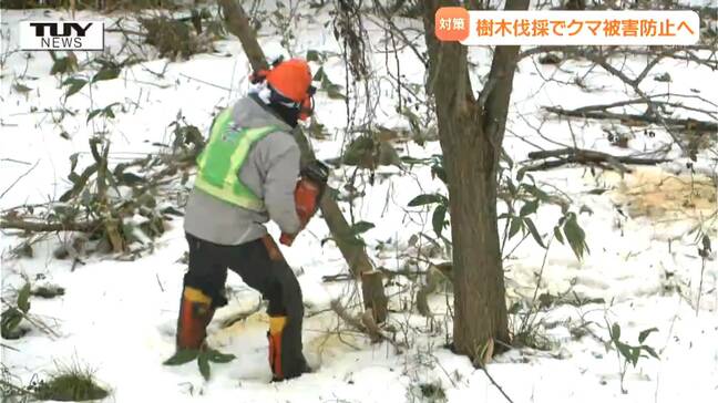 県民の安全・安心を脅かすクマ...被害防止に向け河川にある樹木を伐採(山形・鶴岡市)|TBS NEWS DIG