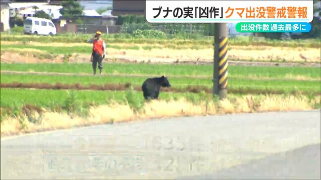 出没件数が“過去最多”に「原因はブナの実の凶作」クマ出没警戒 注意報から『警報』に引き上げ 新潟県|TBS NEWS DIG