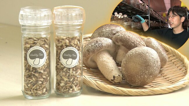 シイタケの「ある部分」を使った新商品 その名は「椎茸ガリリン」 もっと多くの人に自慢のシイタケの味を届けたい 岩手・久慈市|TBS NEWS DIG