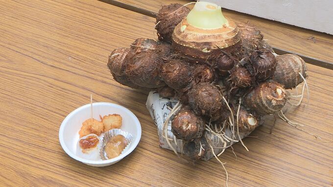 煮っころがしだけでなくナゲットも　特産のサトイモを使った料理を無料でふるまい　山口県下関市|TBS NEWS DIG