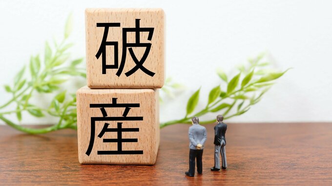 【倒産情報】特殊伐採などを手掛ける(株)エフテックコーポレーションが破産開始決定　赤字基調により債務超過　負債額約1億1,000万円見込み【岡山】|TBS NEWS DIG