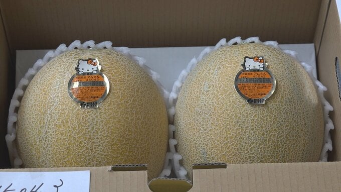 1玉20万円の過去最高値に！　最高級ブランドメロン「アムさんメロン」の初競り　生産者は「非常に励みになる」　|　青森のニュース│ATV NEWS│青森テレビ