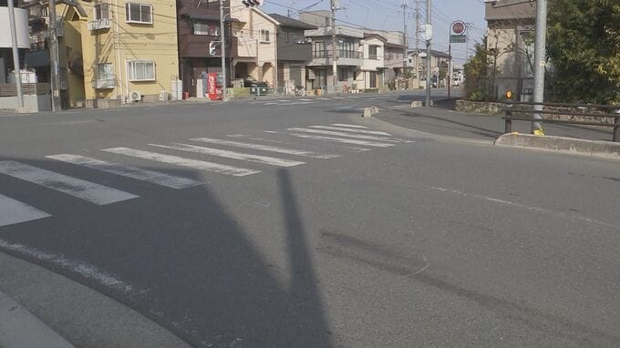 軽ワゴン車で81歳女性はね死亡させ逃走　31歳の女をひき逃げなどの疑いで逮捕　現場から逃走後「事故起こして逃げた」と警察に通報　埼玉・朝霞市|TBS NEWS DIG