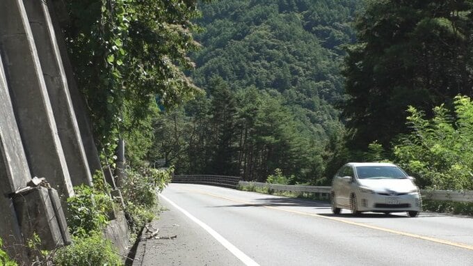 ガードレールの外にクマ　またもや国道で目撃情報　周辺では6月から少なくとも11件　　　|　山梨のニュース | ＵＴＹテレビ山梨