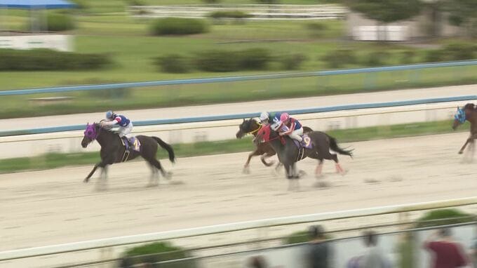 競馬ファン待望！ 金沢競馬場再開　|　石川県のニュース｜MRO北陸放送