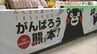 熊本から“くまモン”の人形焼き、からし蓮根も…九州・沖縄のうまかもん大集合！うすい百貨店で25日まで　福島・郡山市　|　福島のニュース│TUF