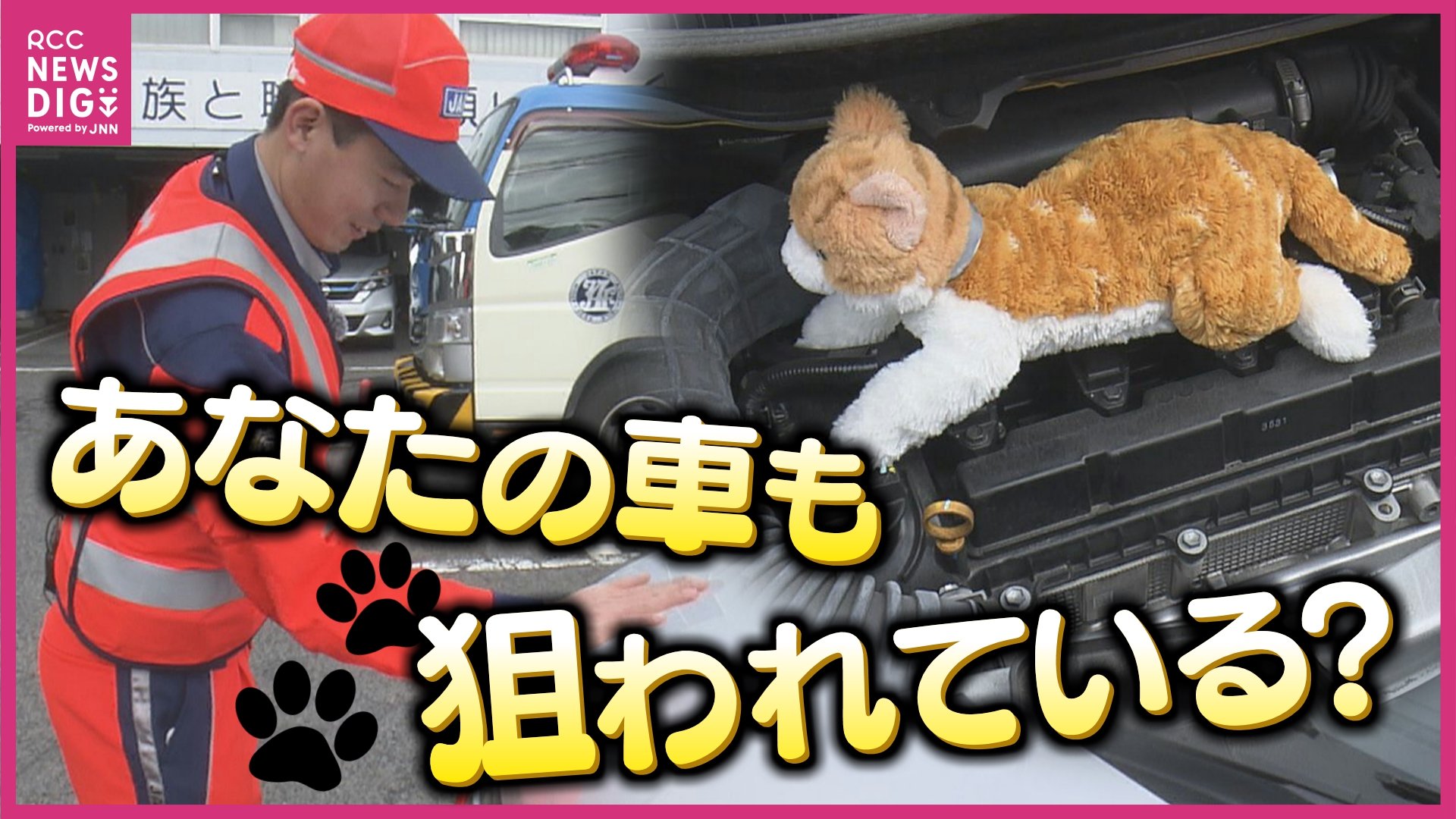 エンジンルームの断熱材がボロボロ 「車のどこからか鳴き声が…」車体に 