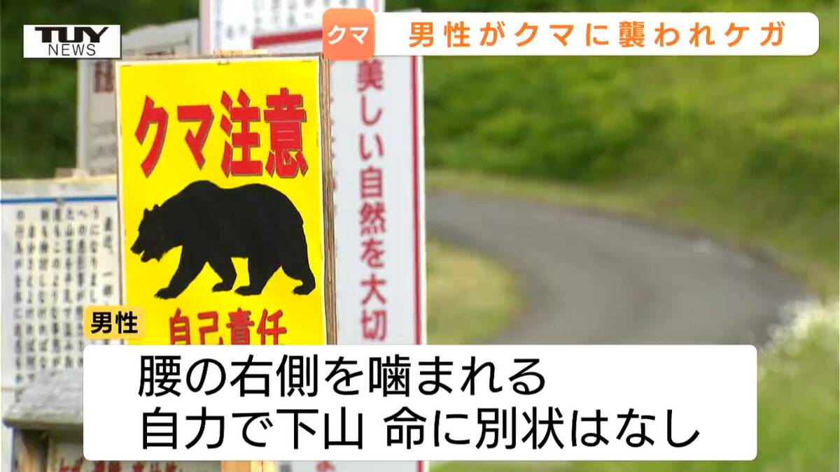 タケノコとりでクマに襲われた男性 ラジオ鳴らすもクマに噛まれ負傷
