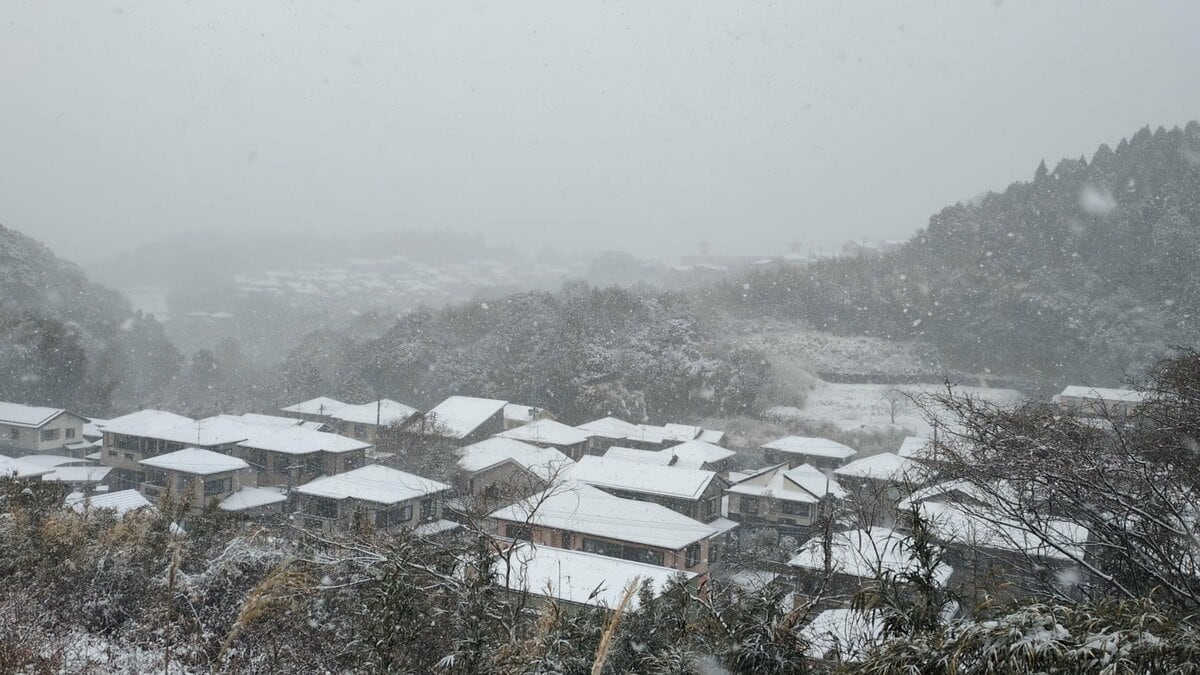 雪まるページ グッズ]SNOW MIKU 2019両面印刷手帳型スマートフォンケース【へちま