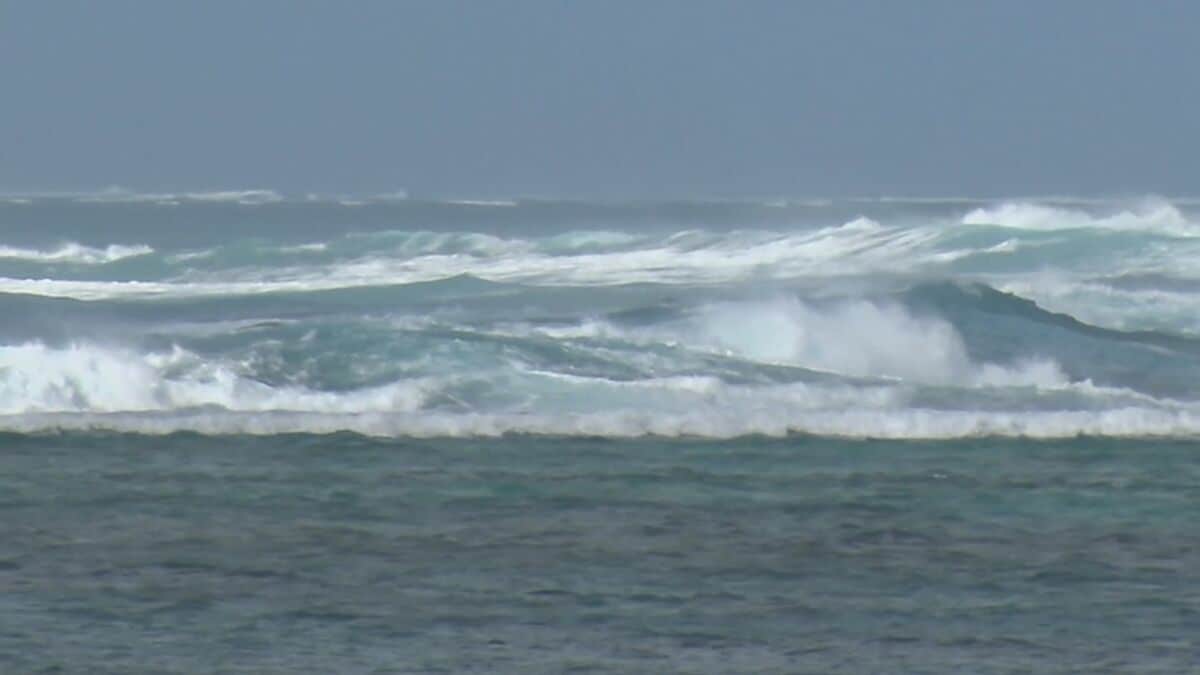 台風9号に備える石垣島　旅客船は全便欠航、ロープで固定し暴風・波浪対策