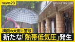 新たな「熱帯低気圧」が発生…11日(木)にかけ沖縄・奄美地方では“警報級の大雨”おそれも【news23】|TBS NEWS DIG